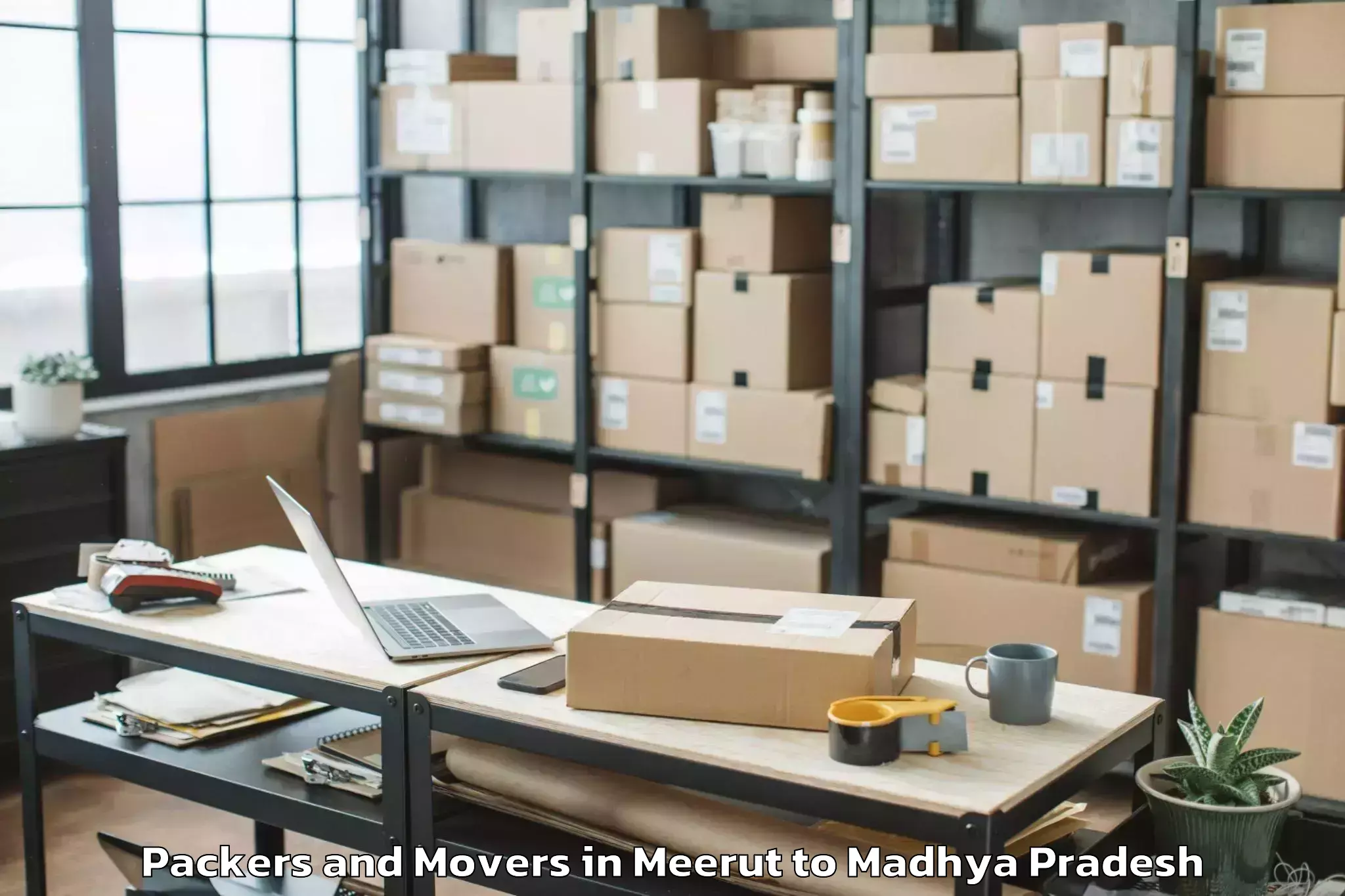 Get Meerut to Badnagar Packers And Movers